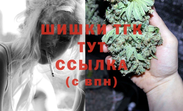Альфа ПВП Алзамай